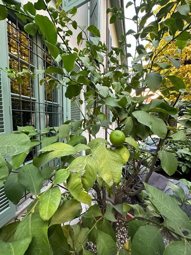 Della Rocca Urban Relais Apartment Turin Luaran gambar